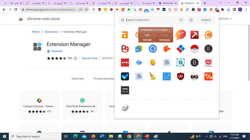 extension-manager